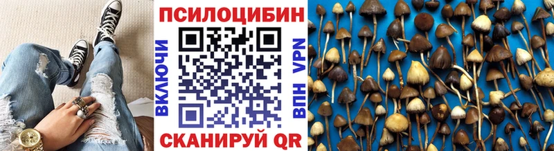 Купить  Щигры  Галлюциногенные грибы ЛСД 